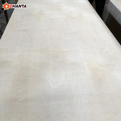 China Modern White Birch Plywood C2 Grade & Birch Plywood B-2 Grade & White Birch E/E Grade for sale