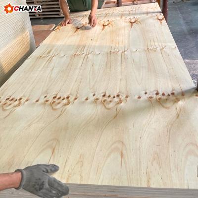 China Modern can be 3.6 mm 12mm custom plywood commercial plywood sheet of cdx pine planks for sale