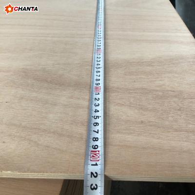 China Best Competitive Price Pencil Cedar Core Double Press Ordinary Modern Selling High Quality Plywood for sale