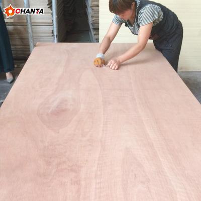 China Customized Modern File Okoume Bintangor Sapele Pencil Cedar Commercial Plywood Board 2mm-25mm Thickness for sale