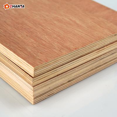 China Best Quality Modern Plywood 18mm Ev Red Bintangor Faced Commercial Plywood Plywood For Furniture for sale