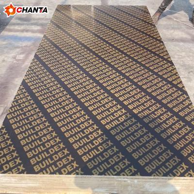 China Modern China Film Faced Black Plywood 18mm Film Faced Plywood for sale