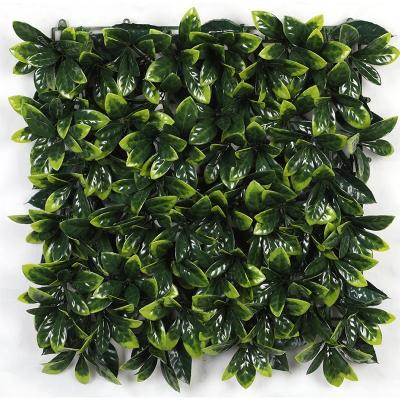 China Minimalist Artificial Simulation Plant Wall Osmanthus Leaf Lawn Lawn High Thickening And Densification for sale