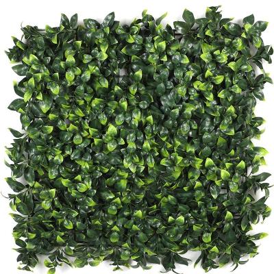 China Minimalist Artificial Dense Gardena Leaf Lawn Green Wall Grass Plant Encryption for sale