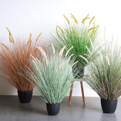 China Minimalist Ornamental Grass Foxtail Grass Dogtail Grass Indoor Plant Decoration Bonsai Ornaments for sale