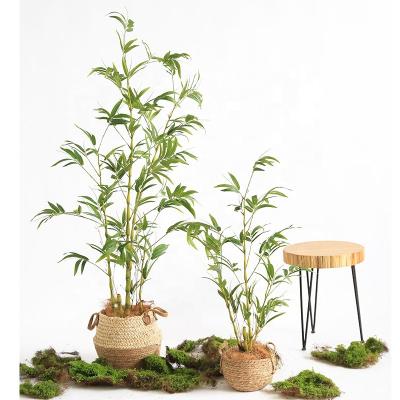 China Factory direct sales simulation Buddha green plant minimalist bamboo plant simulation bamboo golden gourd bamboo for sale