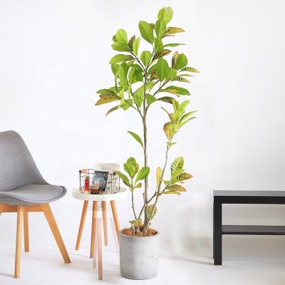 China Wooden minimalist artificial potted simulation discoloration decoration living room plant green plant for sale