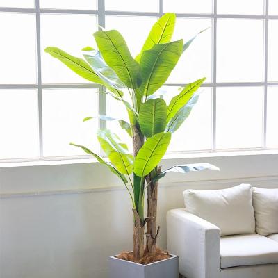 China Wholesale Minimalist Decoration Outdoor Tropical Rainforest Garden Artificial Banana Tree for sale