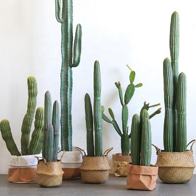 China Minimalist Artificial Cactus Simulated Immortal Column Fake Cactus Home Living Room High Quality Decoration for sale