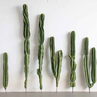 China Erevgreen Minimalist Home Decoration Cactus Plastic Fake Plants Tropical Plant Simulation Cactus for sale