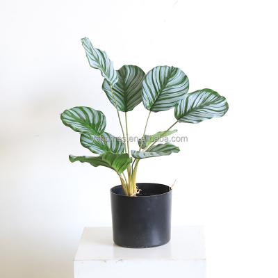 China Green Plant Minimalist Artificial Leaves Simulate Apple Leaves Garden Decoration for sale