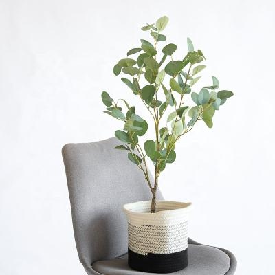 China Plant Eucalyptus Tree Homestay Window Decoration Contemporary Artificial Potted Nordic Eucalyptus Trees for sale