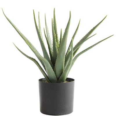 China Height 63cm Quality Transient Artificial Plant Aloe Plant Garden Decor Potted Living Room GL-6810 for sale