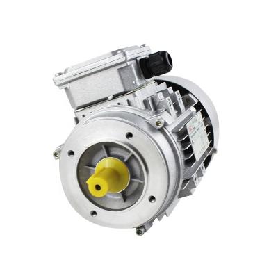 China Factory price totally enclosed 3 phase AC asynchronous electric motor YS7124 370w for sale