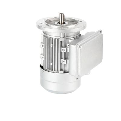 China Totally Enclosed 1.1kw 1hp Mini Single Phase AC Asynchronous Electric Motor YL8034 for sale