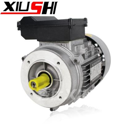 China Water Proof Small Low Rpm 750w Single Phase Custom Induction AC Motor YY802-4 for sale