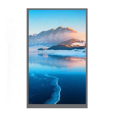 China 10.1 Inch IPS Display 800*1280 Resolution IPS MIPI 31Pin Interface 1000nit High Brightness 10.1 Inch 10.1 Inch TFT Color LCD for sale