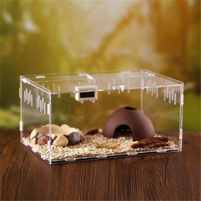 China Breeder Breathable Transparent Reptile Cage Pet Folding Mingshi Feeding Box Acrylic Mini Greenhouse Reptile Box for sale