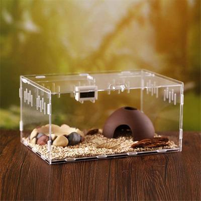 China MingShi Selling Breathable Animal Transparent Reptile Cage Feeding Box House Acrylic Reptile Pets Box for sale