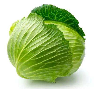 China 2022 Fresh Chinese Fresh Round Cabbage / Sweet Cabbage Flat Cabbage With GAP Certificate Supplying All Year Round for sale