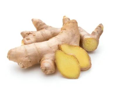 China Cheap Price High Quality Ginger Fresh Organic New Jahe Wholesale Merah Ginger Chinese Culture for sale