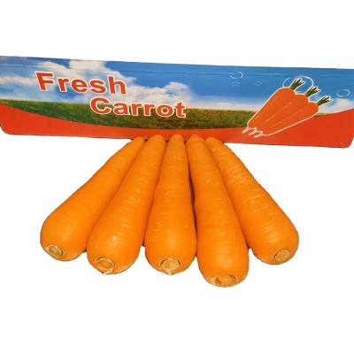 China Frozen Carrot Supplier Fresh Organic High Quality Fresh Carrots New Culture For Wholesale Fresh Carrot for sale