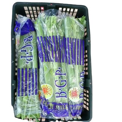 China Wholesale Fresh Organic Green Vegetable Healthy Quality Chinese Green Celery for sale