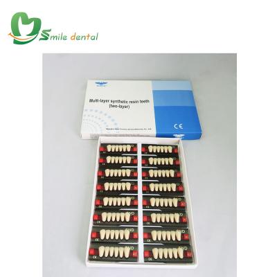 China Dental Teeth Posterior Teeth Acrylic Resin Denture Lab Acrylic Teeth for sale