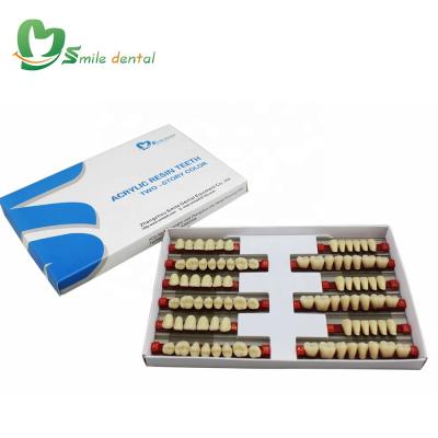 China 2 Layer Full Mouth Resin Teeth Denture Acrylic Teeth for sale