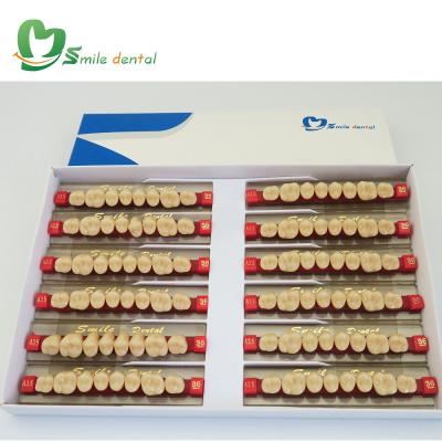 China False Teeth Acrylic Resin Teeth Acrylic Posterior Denture for sale