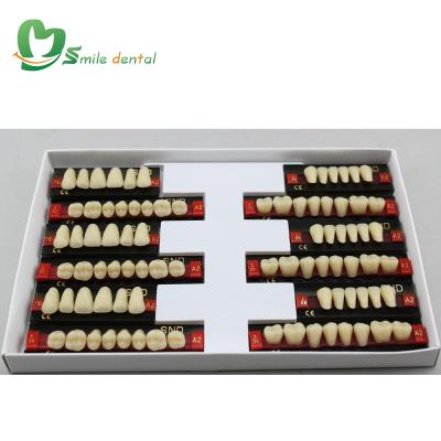 China Dental Area Two Layer Acrylic Resin Teeth Low Price Acrylic Teeth for sale