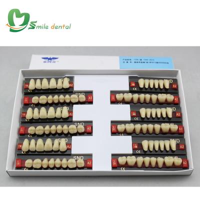 China Resin ET two layer denture teeth/resin denture teeth/acrylic resin teeth for sale