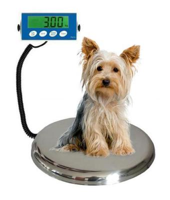 China High Quality Stainless Steel Aluminum Platform Indicator Case Animal Weighing Small Digital Pet Veterinary Animal Scales for sale