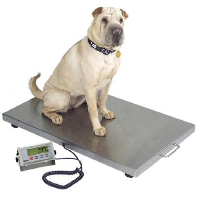 China Carbon Steel Factory Manufacture Various 2021 Pet Veterinarian Portable Animal Scale for sale