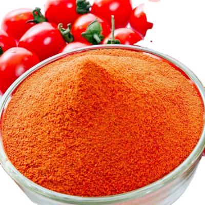 China Drinks Dried Organic Tomato Ketchup Flavor Powder for sale