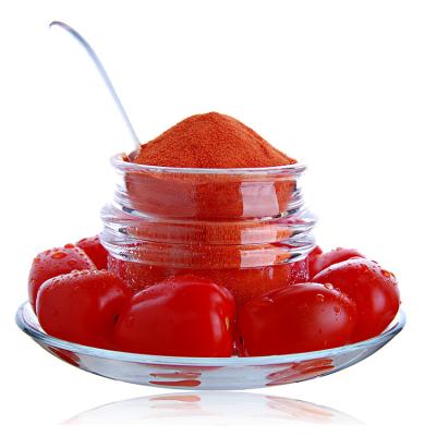 China Tomato extract powder manufacture supply dry lycopene dried ketchup flavor powder for sale