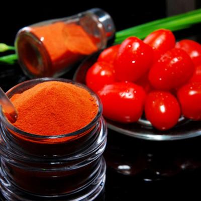 China Drinks Bulk Dehydrated Dry Powder Spray Dried Tomato for sale