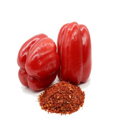 China Dry natural frozen fresh red paprika for sale