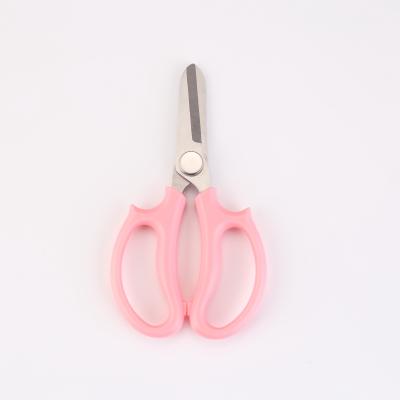 China Universal pruner clipping shears garden scissors agriculture SHEAR SCISSORS for sale