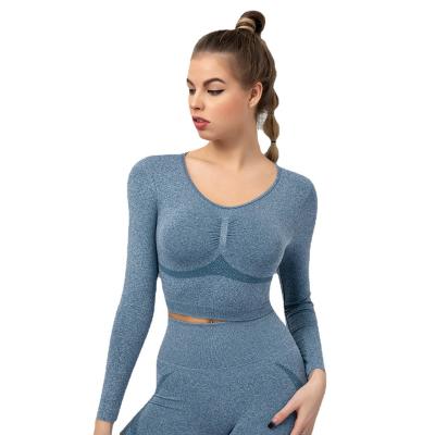 China Simplicity Breathable Yoga Suit Custom Elastic Fit Breathable Long Sleeve Sports Wear Workout Yoga Tops Women for sale