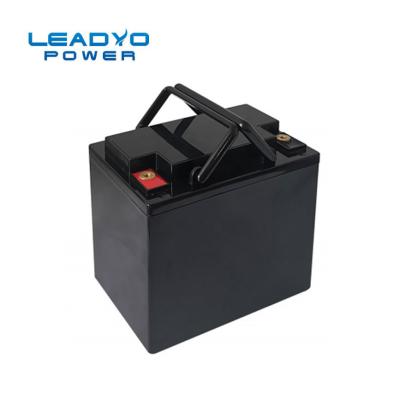 Cina sistema di gestione di Li Ion Battery Built In Battery del litio della batteria di 20ah 24V Lifepo4 in vendita