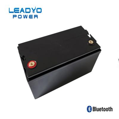 China Plastik-Screwable Kasten LEADYO BMS Marine Lifepo 4 Batterie-12V 100amp zu verkaufen