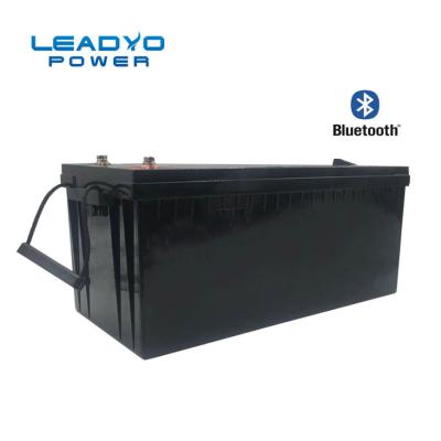 China Lithium-tiefe Zyklus-Marine Batterys 24V 200Ah LiFePO4 LEADYO Bluetooth Batterie zu verkaufen