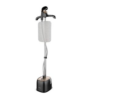 China Stainless Steel Convenient Vertical Panel Portable Travel Garment Steamer for sale