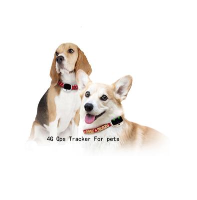 China 2021 World's Smallest Miniature Pet 4G Chip 3G Gps Tracker 3G Sim Lte Quick Delivery Dog Iot 2021 for sale