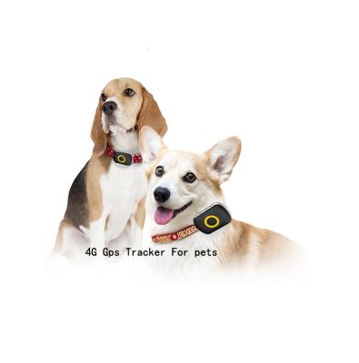 China 3G Fast Delivery 3G Gps TrakerWorld Reseau V43 Dog Iot Smallest Pampers 4G Gps Lte Pet Tracker for sale