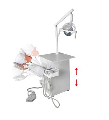 China Simulation Dental Teaching Dental Clinical Teaching Training System With Phantom Head for sale