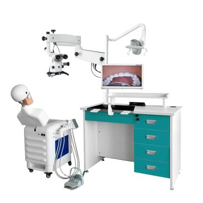 China Teaching Simulation Made In Porcelain UMG-VI Dental Simulator Teaching Instrument for sale