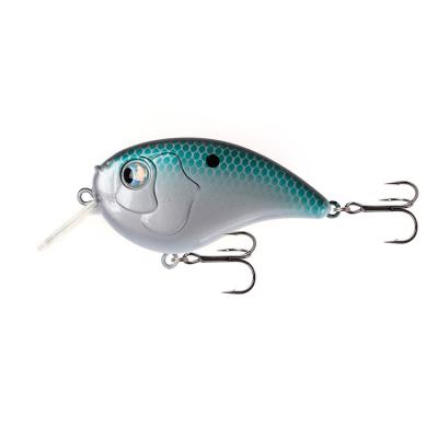 China ABS 5.5cm 13g Fishing Lure Crankbait Wobbler Wobbler Pop Lip Jerkbait Bait Floating Artificial Hard Ocean Fishing Bass Bait for sale