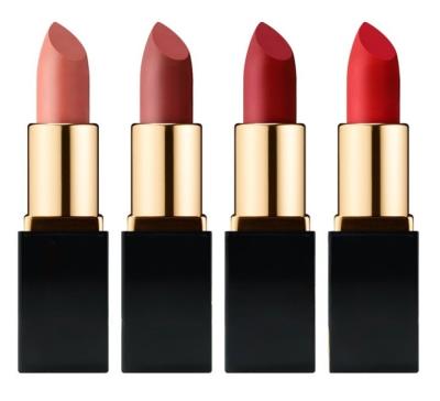 China Waterproof No Marks Or Logo Matte Lipstick Vendor Velvet Matte Lipstick Lasting 24 Hours Waterproof Pigmented Lip Stain for sale